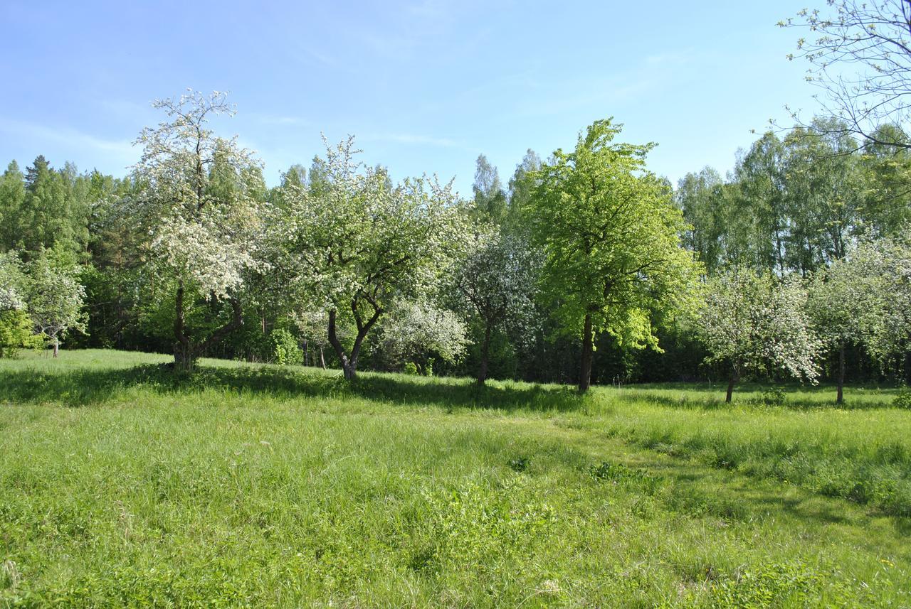 Brivdienu Maja Skerskani Krāslava Buitenkant foto